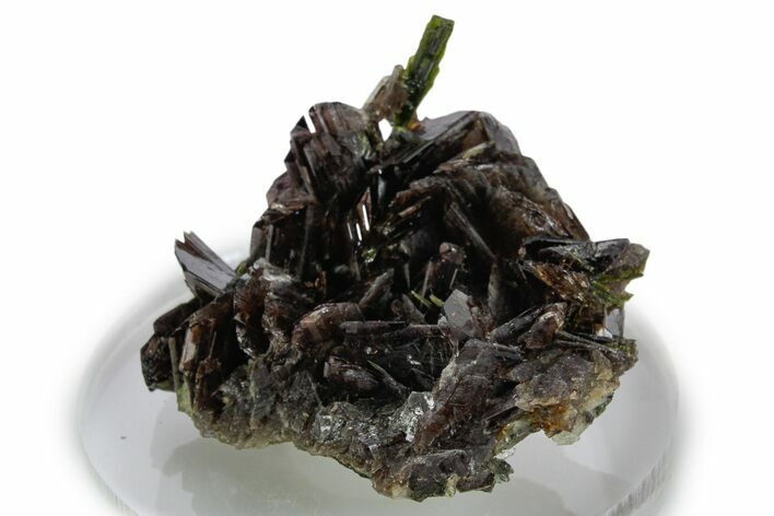 Sharp Axinite Crystal Cluster with Green Epidote - Peru #347845